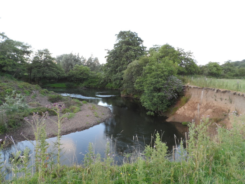 The Loughor, haunt of huge sewin